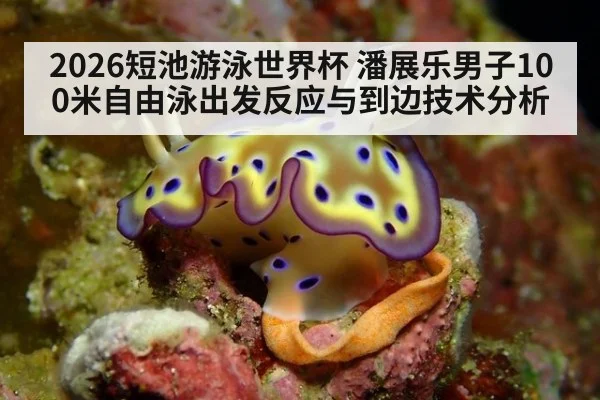 2026短池游泳世界杯 潘展乐男子100米自由泳出发反应与到边技术分析